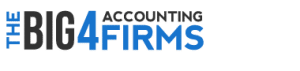 the big 4 accounting firms logo